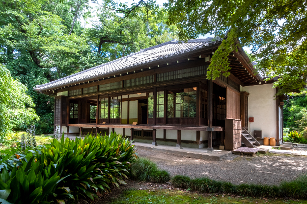 Wagashi and the Aesthetics of Tea—Nerikiri & Matcha Experience - Metropolis Japan