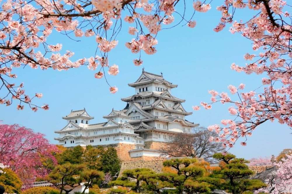 Japan Residence Permit Fees Rise From October 1, 2026: Permanent Residency Jumps to ¥200,000 - Metropolis Japan