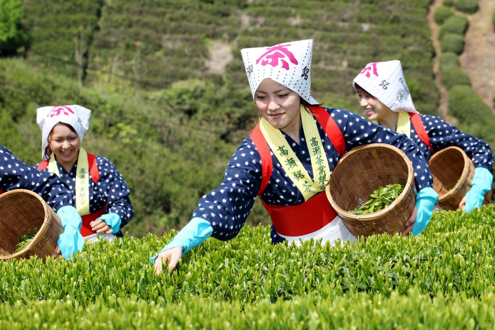 The Agri-Girls Project - Metropolis Japan
