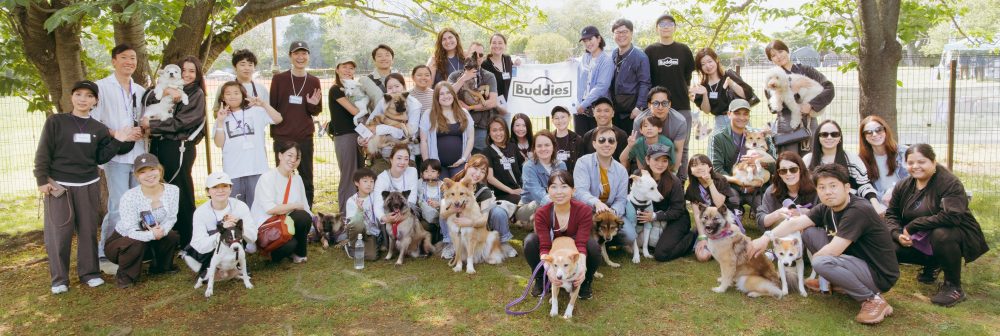 Buddies rescue dogs with their adoptive families and supporters