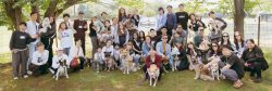 Meet the Rescue Dogs Teaching Tokyo a Lesson in Self-Love — And Support Rescue Dogs in Japan - Metropolis Japan
