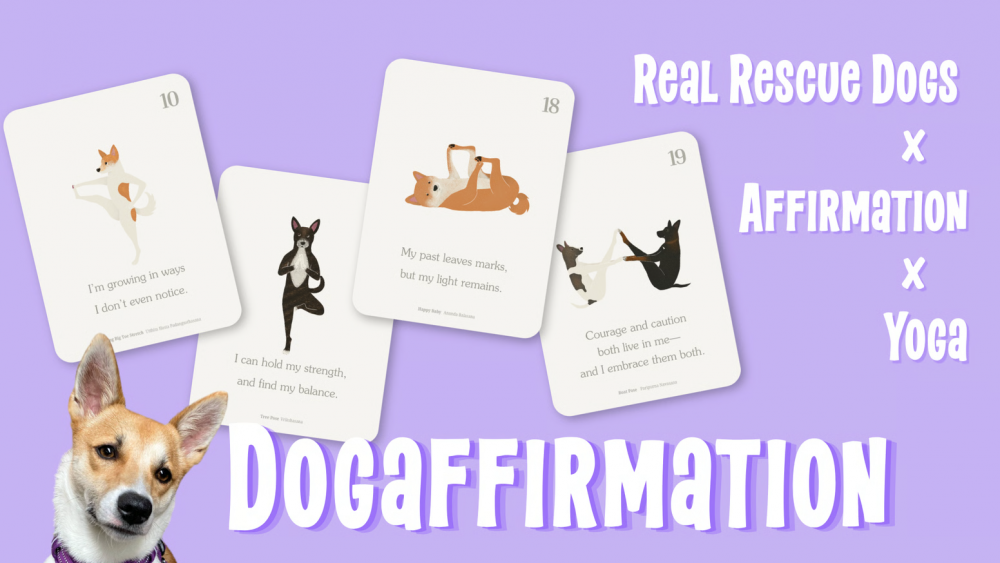 Dogaffirmation card deck by Buddies featuring illustrated rescue dog affirmation cards