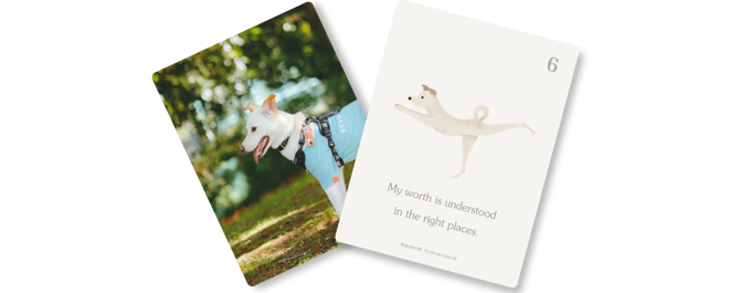 Milo the rescue dog alongside his Dogaffirmation card