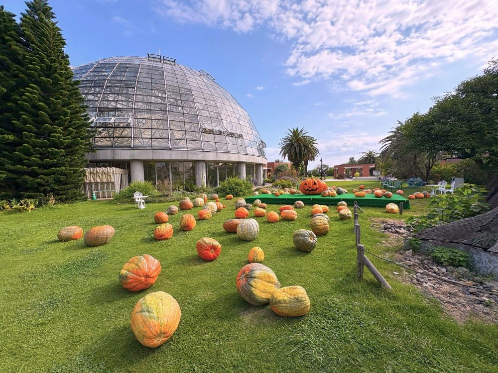 Yumenetsu Halloween Garden 2026 - Metropolis Japan