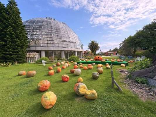 Yumenetsu Halloween Garden 2026